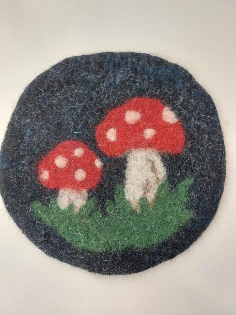 Pannunalunen Kärpässienet